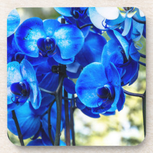 Porta-copo Orquídeas azuis