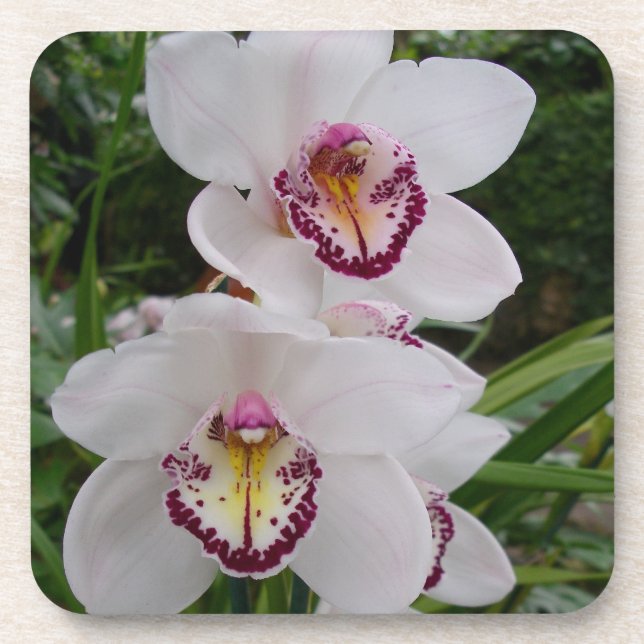 Porta-copo Orquídeas Brancas Lindas Flores Tropicais (Frente)