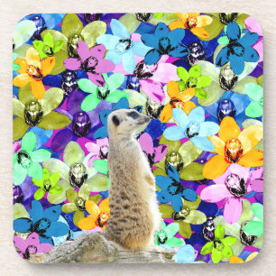Porta-copo Orquídeas De Meerkat E De Aquarela,