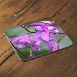 Porta-copo Orquídeas Hiacinosas Rosa Floral