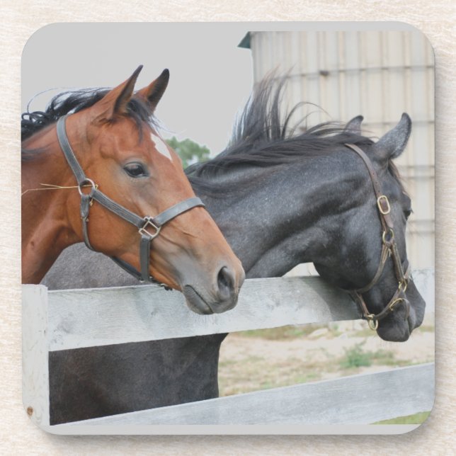 Porta-copo Os Cavalos do Amor (Frente)