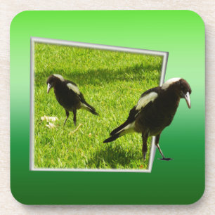 Porta-copo Os Magpies Australianos Não São Pássaros Assust