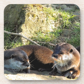 PORTA-COPO OTTERS