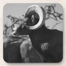 Porta-copo Ovelhas do Deserto