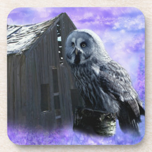 Porta-copo Owl Barn Shed