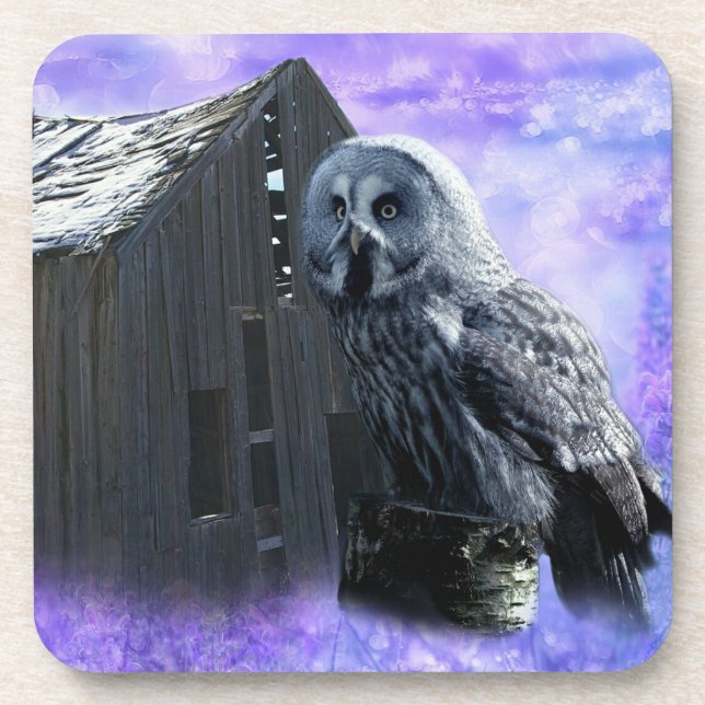 Porta-copo Owl Barn Shed (Frente)