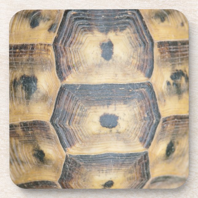 Porta-copo Padrão Tortoise Shell (Frente)