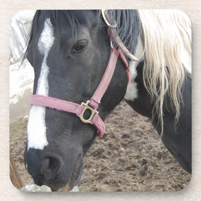 Porta-copo Paint Pinto Horse (Frente)