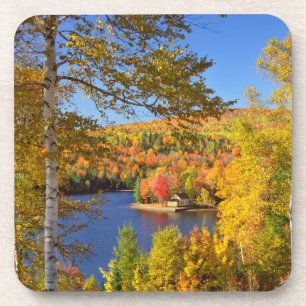 Porta-copo Paisagem de árvore de outono, Maine