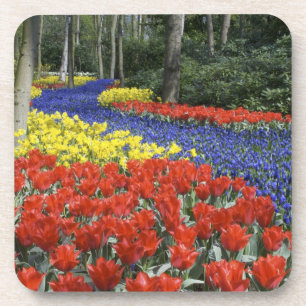 Porta-copo Países Baixos, Holanda, Lisse, Jardins Keukenhof