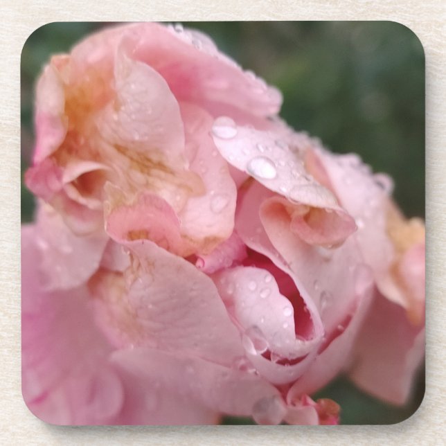 Porta-copo Pale Pink Rose (Frente)