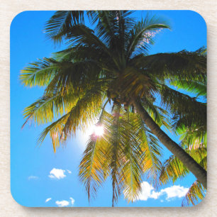 Porta-copo Palm Paradise Blue Sky Sunshine