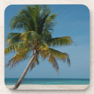 Porta-copo Palmeira e praia de areia branca  2
