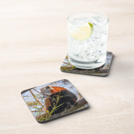 Porta-copo Panda vermelha