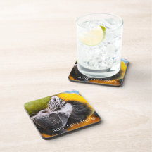 Papagaio Verde, Azul e Amarelo