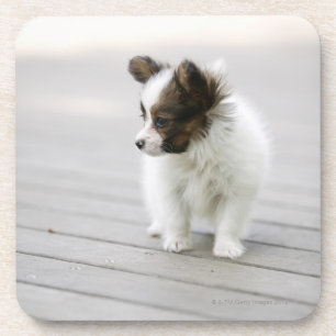 Porta-copo Papillon