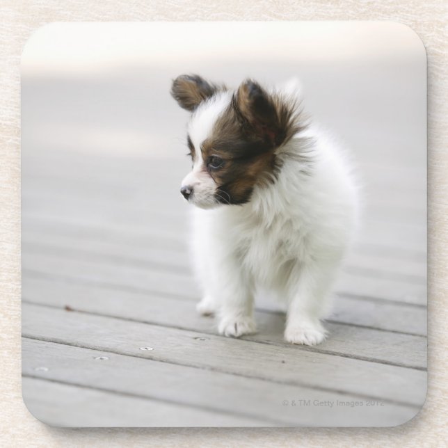 Porta-copo Papillon (Frente)