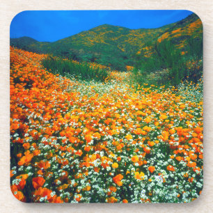 Porta-copo Papoulas da Califórnia e flores silvestres de pipo