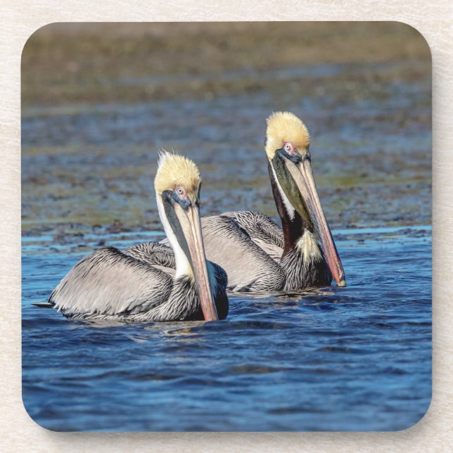 Porta-copo Par de Pelicanos (Frente)