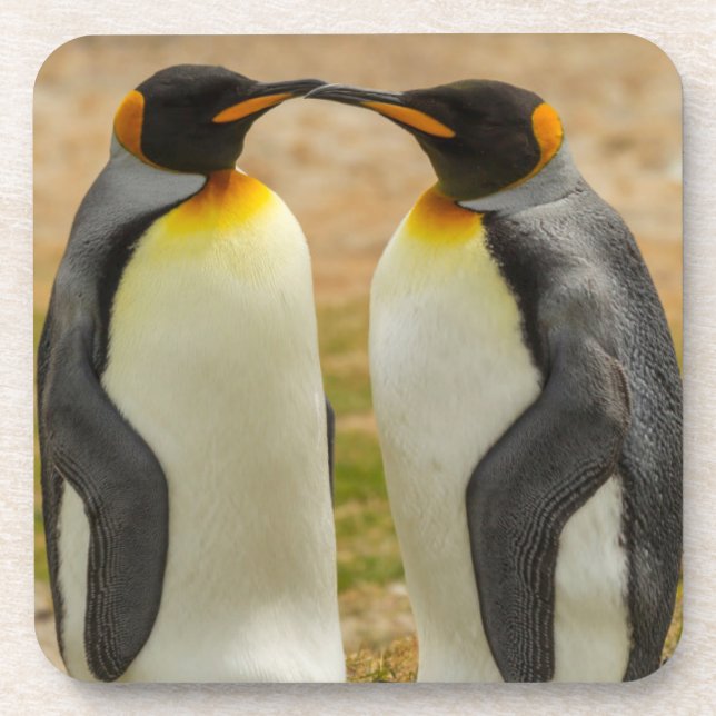 Porta-copo Par de pinguins-imperadores, Ilhas Falkland (Frente)