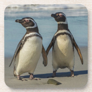 Porta-copo Par de pinguins na praia