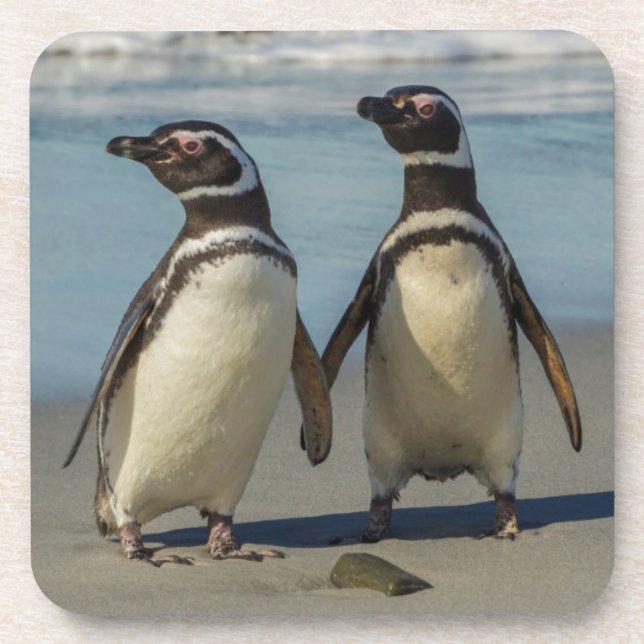 Porta-copo Par de pinguins na praia (Frente)