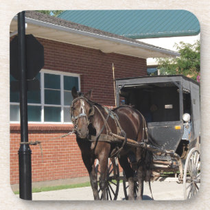 Porta-copo Parado para um Espelho, Um Cavalo Amitivo no sinal