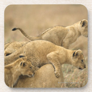 Porta-copo Parque nacional de Serengeti, Tanzânia 2