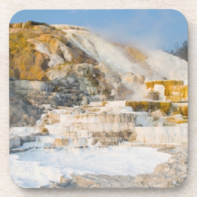Porta-copo Parque nacional de Yellowstone (Frente)
