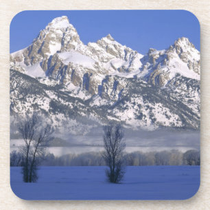 Porta-copo PARQUE NACIONAL GRAND TETON, WYOMING. EUA. Névoa &