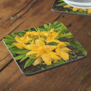 Porta-copo Páscoa Amarela Azalea Blooms Bepra Floral Coaster