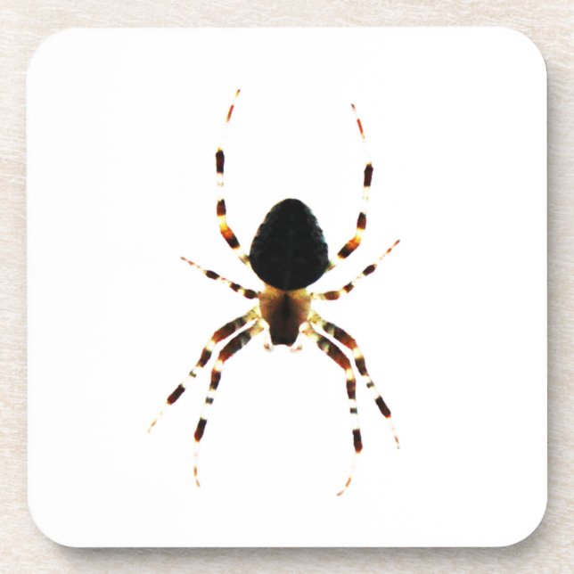 Porta-copo Páscoa costeira de aranha (Frente)