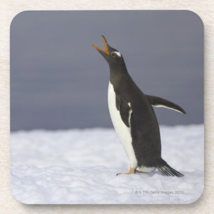 Porta-copo Pássaro adulto do pinguim de Gentoo (Pygoscelis