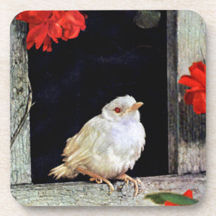 Porta-copo Pássaro RARE albino robin