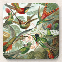 pássaros flores flor pássaro natureza pintura vint