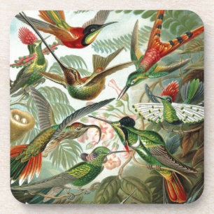 Porta-copo pássaros flores flor pássaro natureza pintura vint