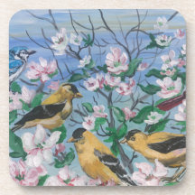 Pássaros pintassilgo floresce