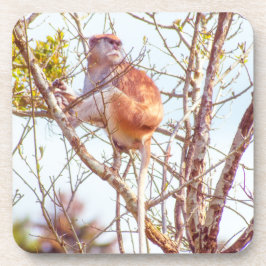 Porta-copo Patas é uma árvore