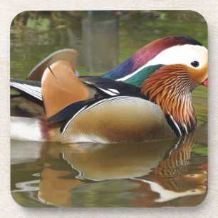 Porta-copo pato-de-mandarina