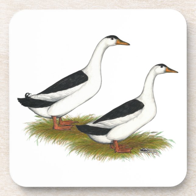 Porta-copo Patos: Magpias Negras (Frente)