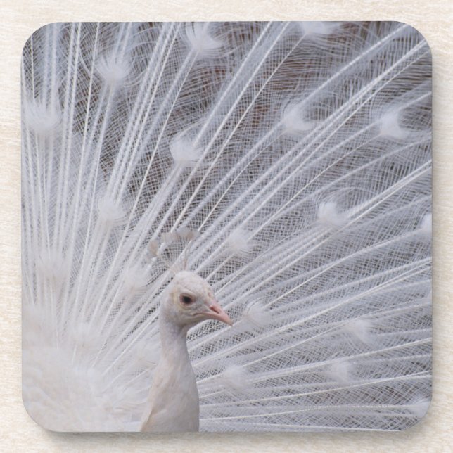 Porta-copo Pavão branco (Frente)