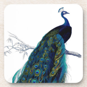 Porta-copo Pavão colorido elegante azul do vintage