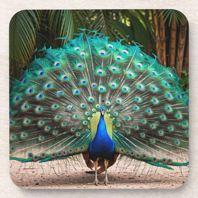 Porta-copo Peacock Feather Fanning (Frente)