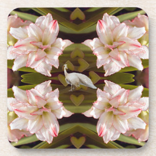 Porta-copo Peacock Majestoso e Amaryllis Candy Cane