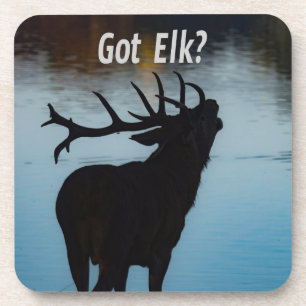 Porta-copo Pegou Elk? Engraçado Hunter Humor