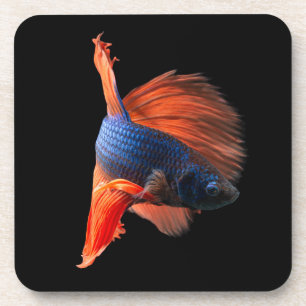 Porta-copo Peixe Betta Meio Lua