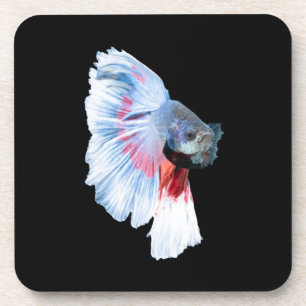 Porta-copo Peixe Betta Meio Lua
