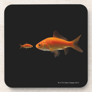 Porta-copo Peixe dourado