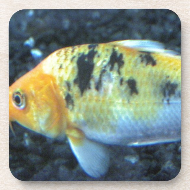 Porta-copo Peixe-gato picado (Frente)