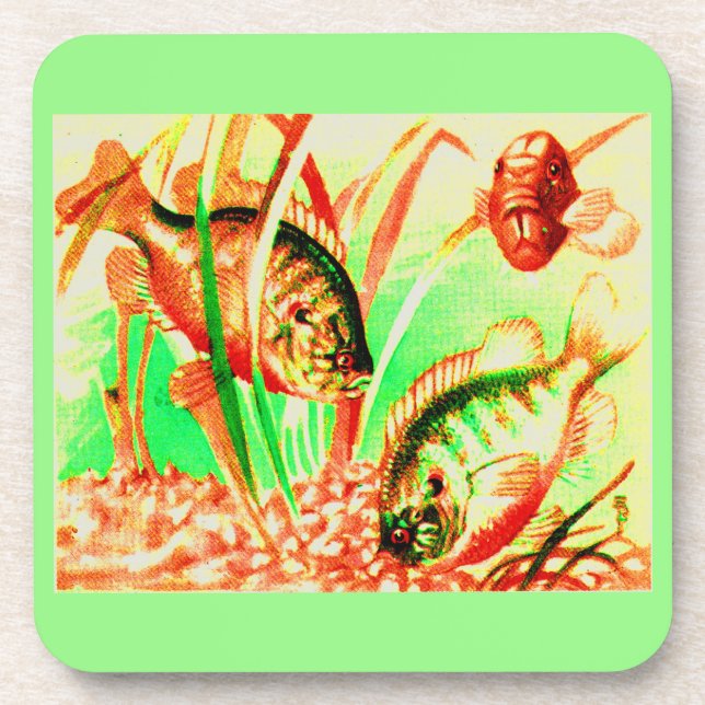 Porta-copo peixe-sol água fresca (Frente)